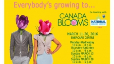 Get Inspired at Canada Blooms